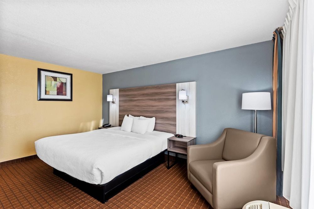 Standard Room, 1 King Bed, Non Smoking
