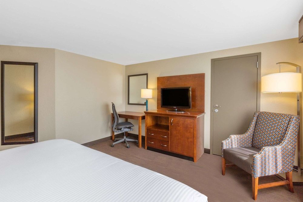 Room, 1 King Bed, Non Smoking, Patio