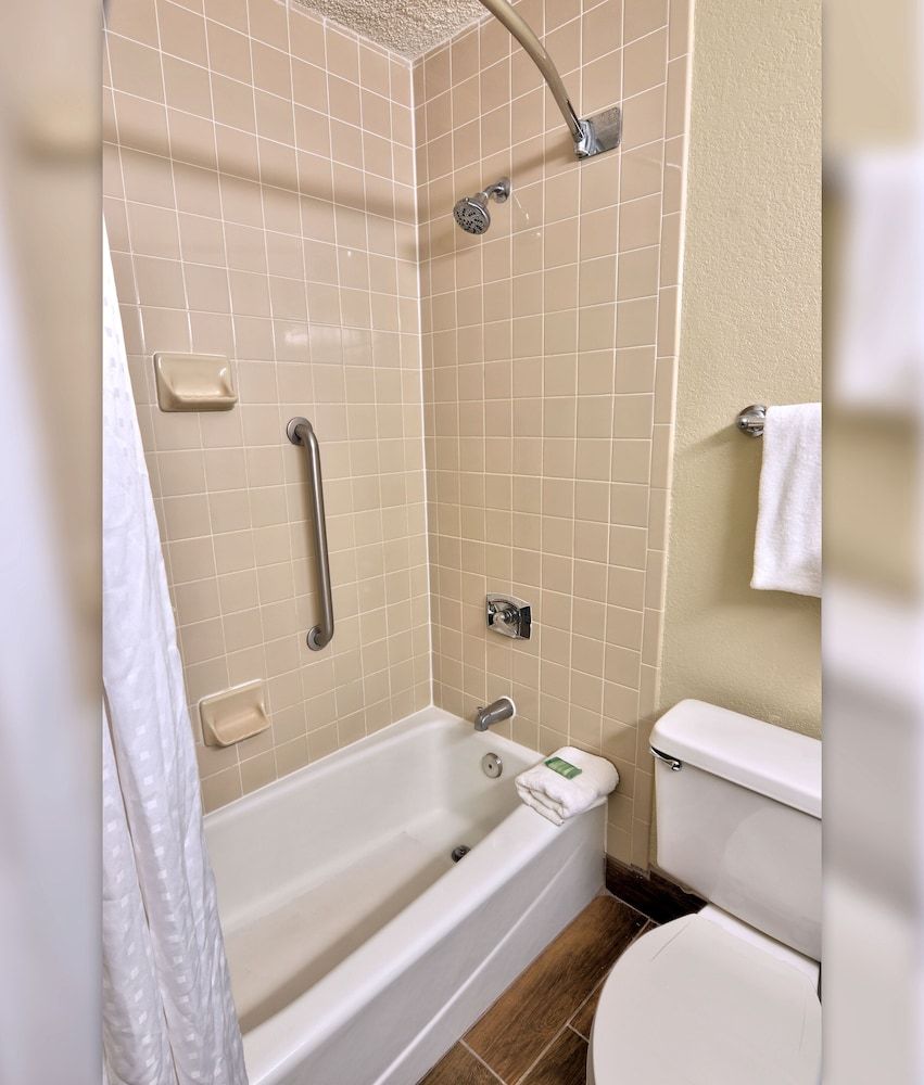 Suite, 1 King Bed