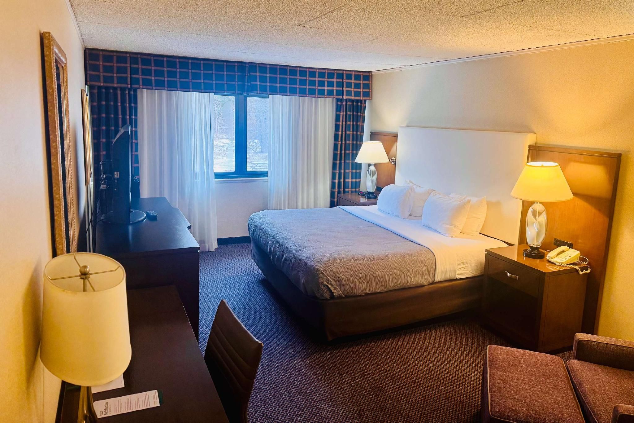 1 King Bed, Nonsmoking, Accessible