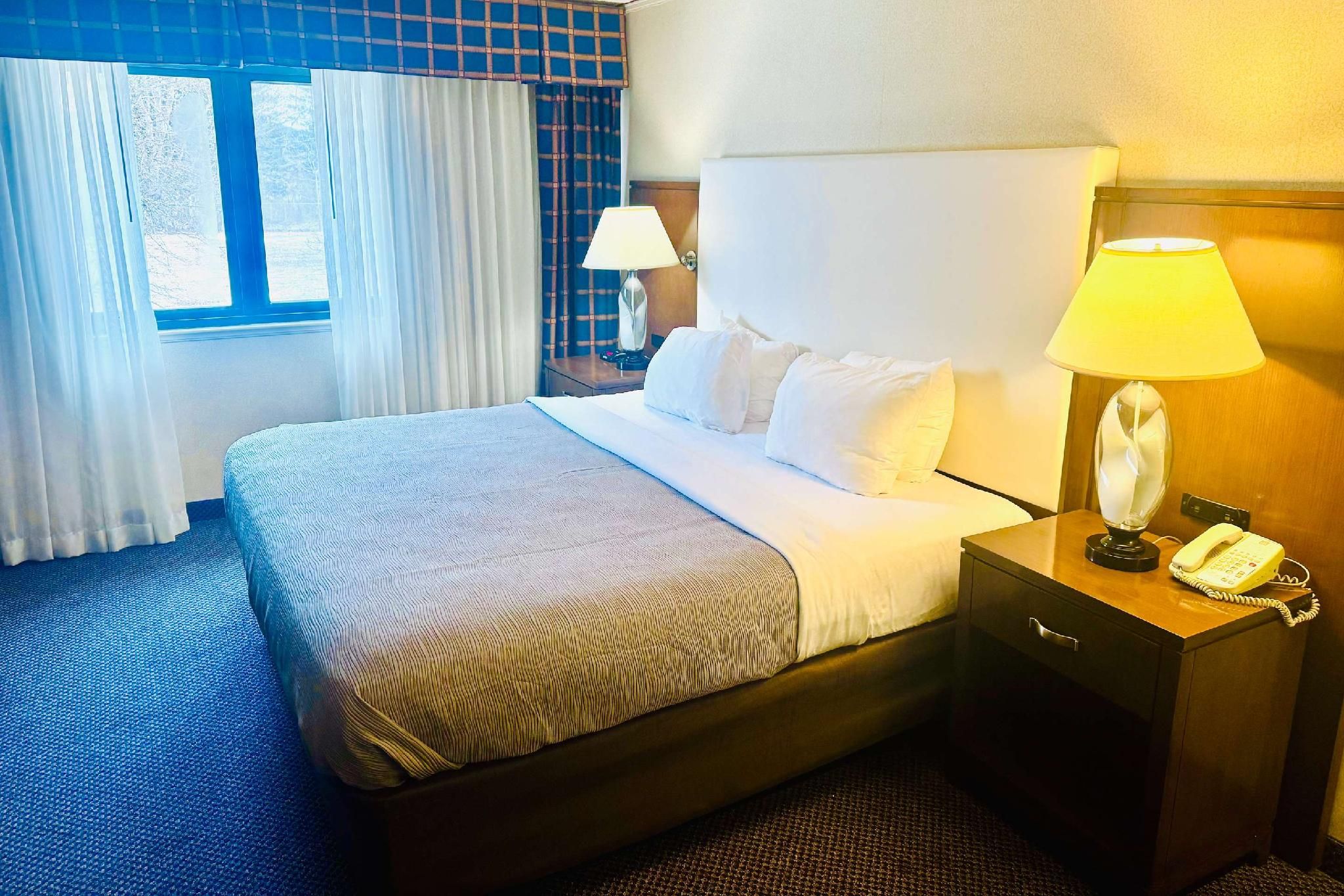 1 King Bed, Nonsmoking, Accessible