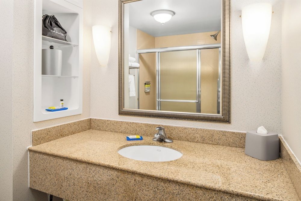 Holiday Inn Express & Suites Wilmington-Newark by IHG Standard Room, 1 King Bed 4