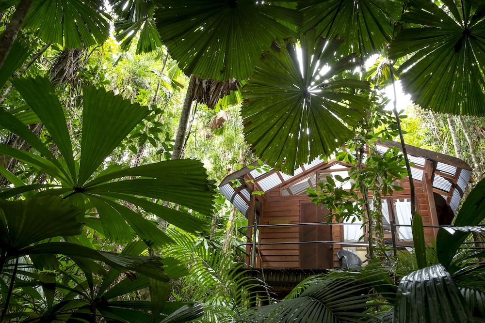 Daintree Wilderness Lodge Twin/Tripe Rainforest Cabin 5