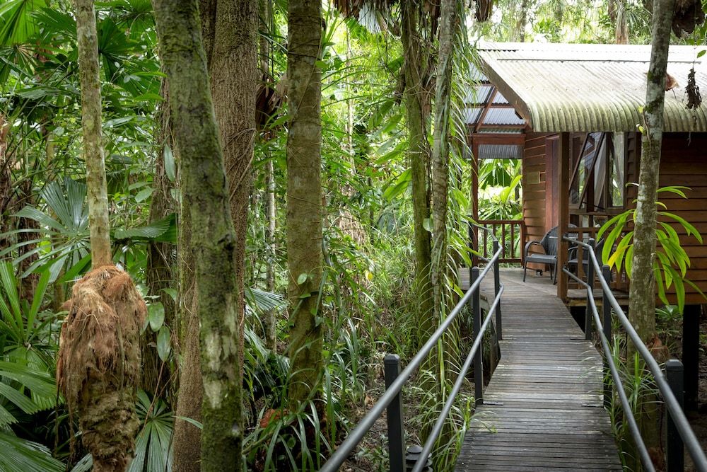 Daintree Wilderness Lodge