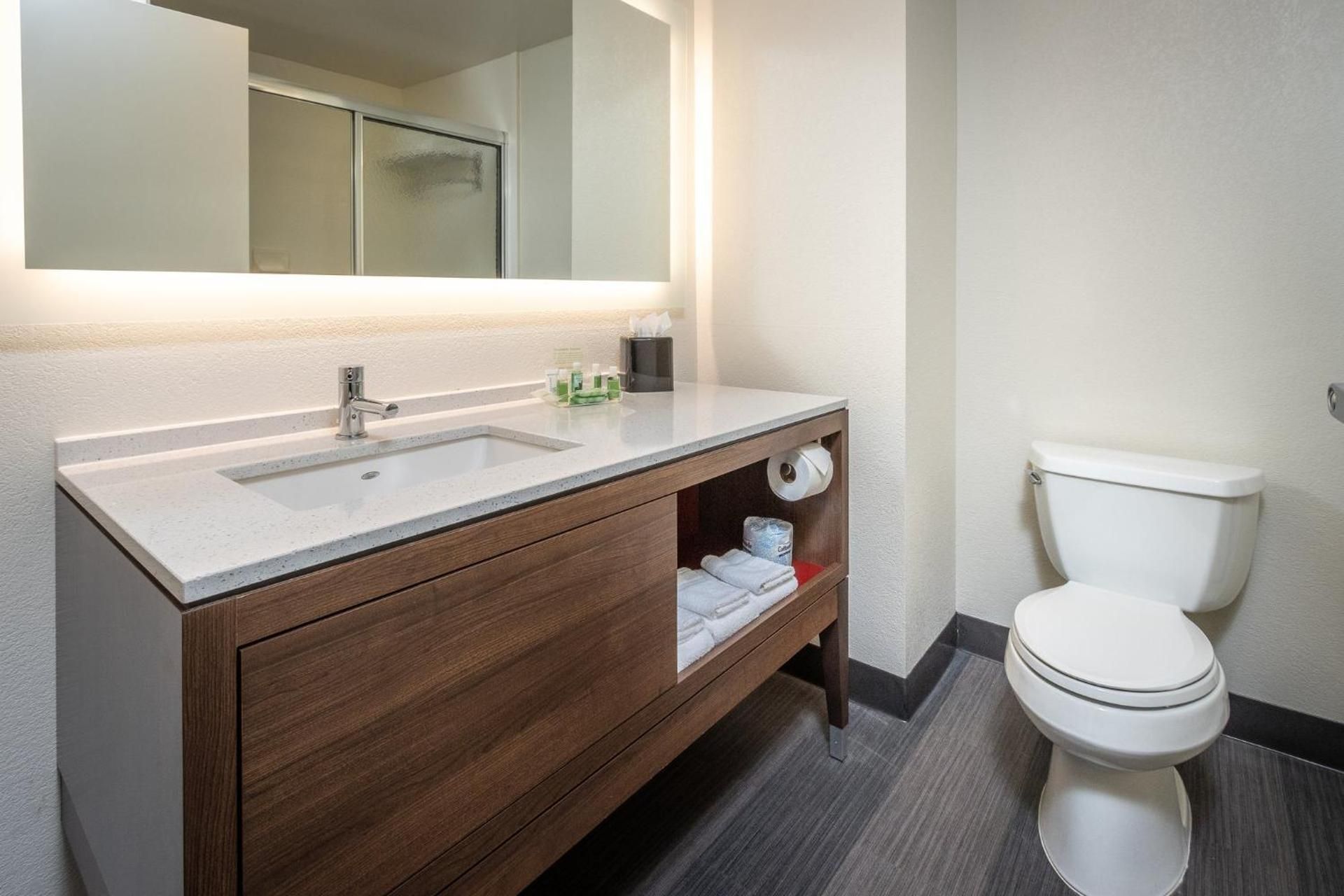 King Room with Roll-In Shower - Disability Access