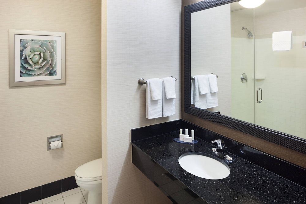 Room, 1 King Bed (Mobility Accessible, Roll-In Shower)