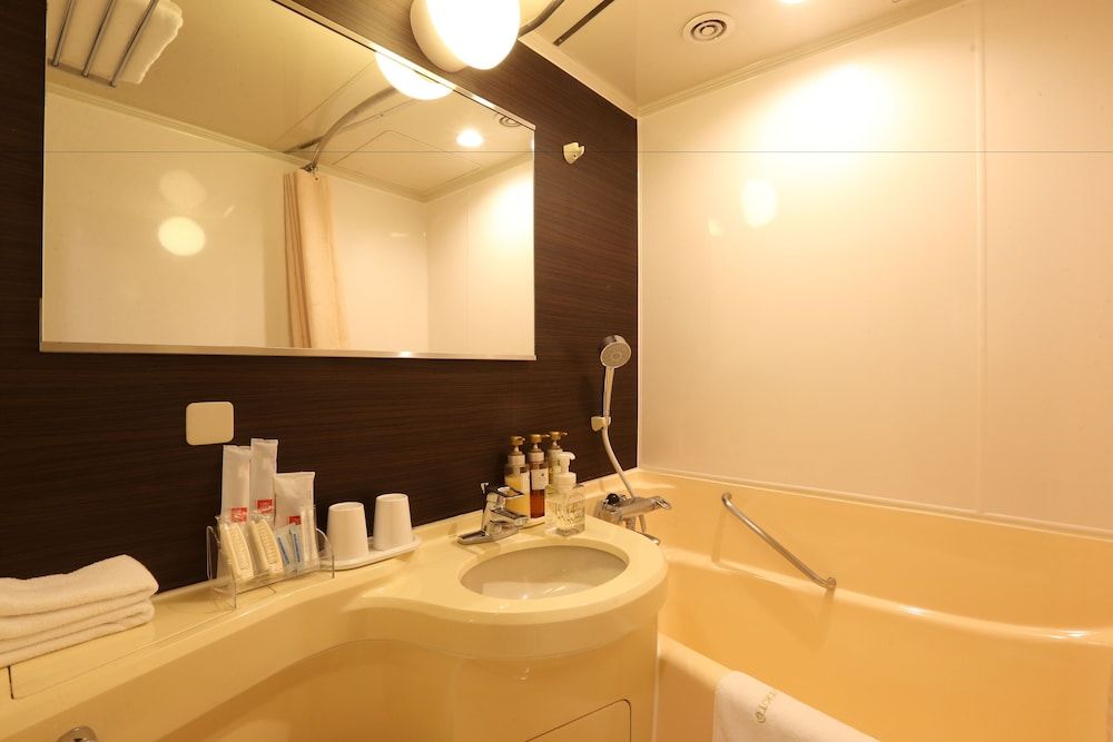 Single Room, Non Smoking (13square meters)
