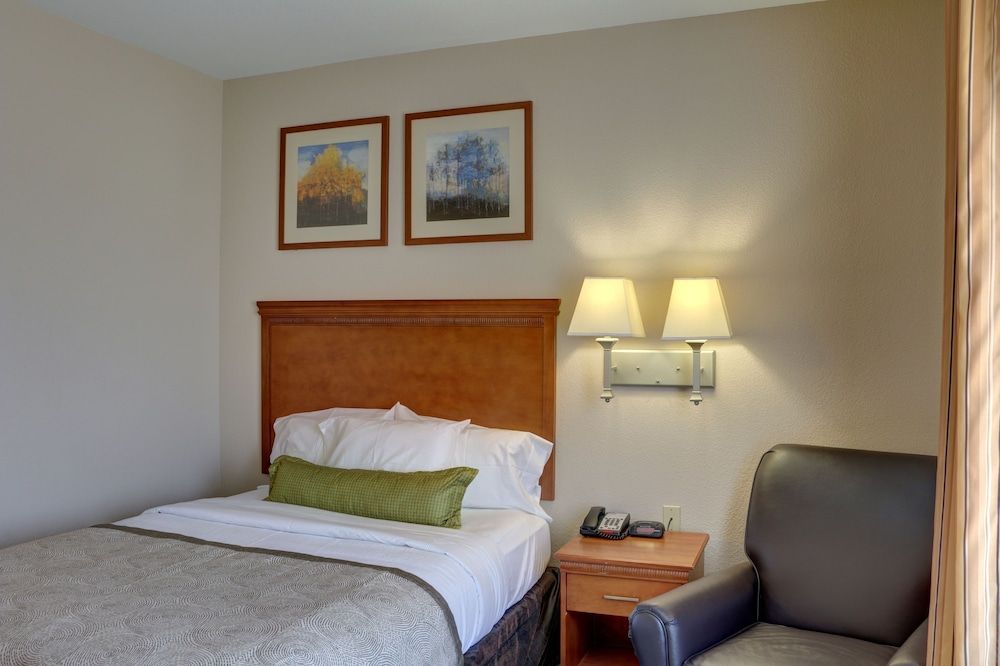 Suite, 1 Bedroom