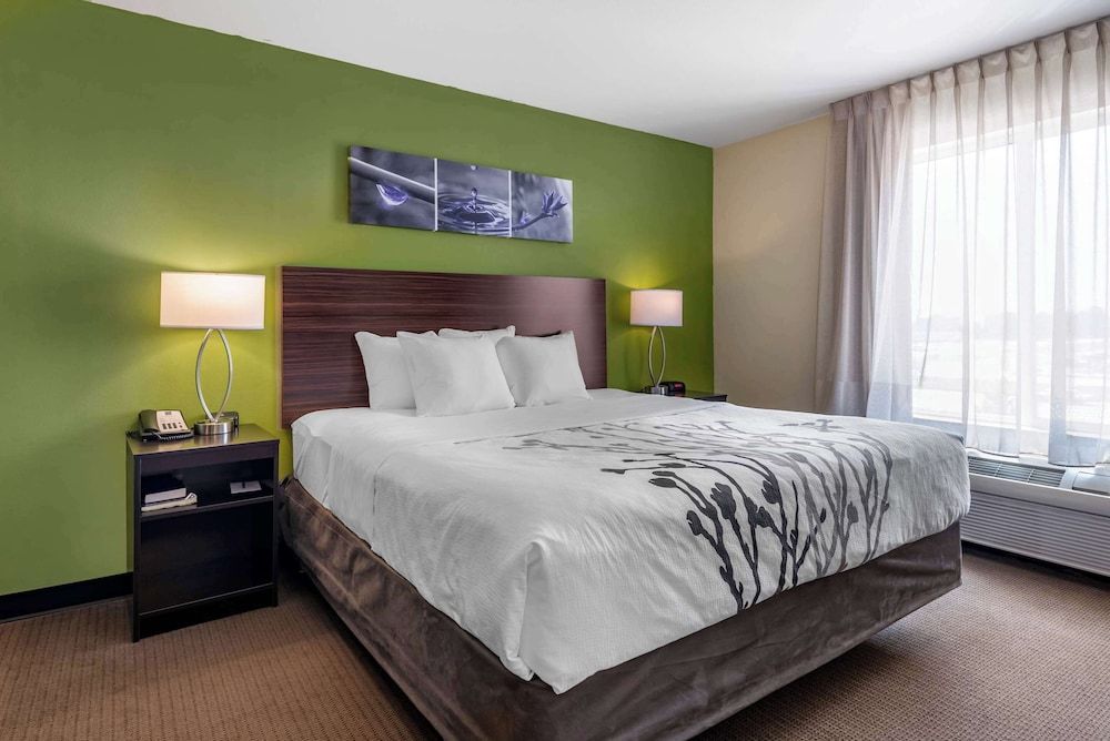 Room, 1 King Bed with Sofa bed, Accessible, Non Smoking