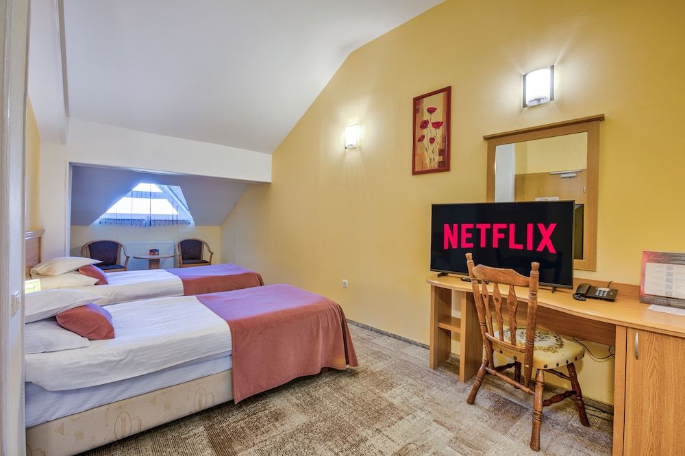 Hotel Ambient Budget Twin 3 stars wing, no A/C, no elevator, no SPA 2