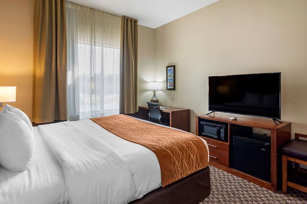 Standard Room, 1 King Bed, Non Smoking