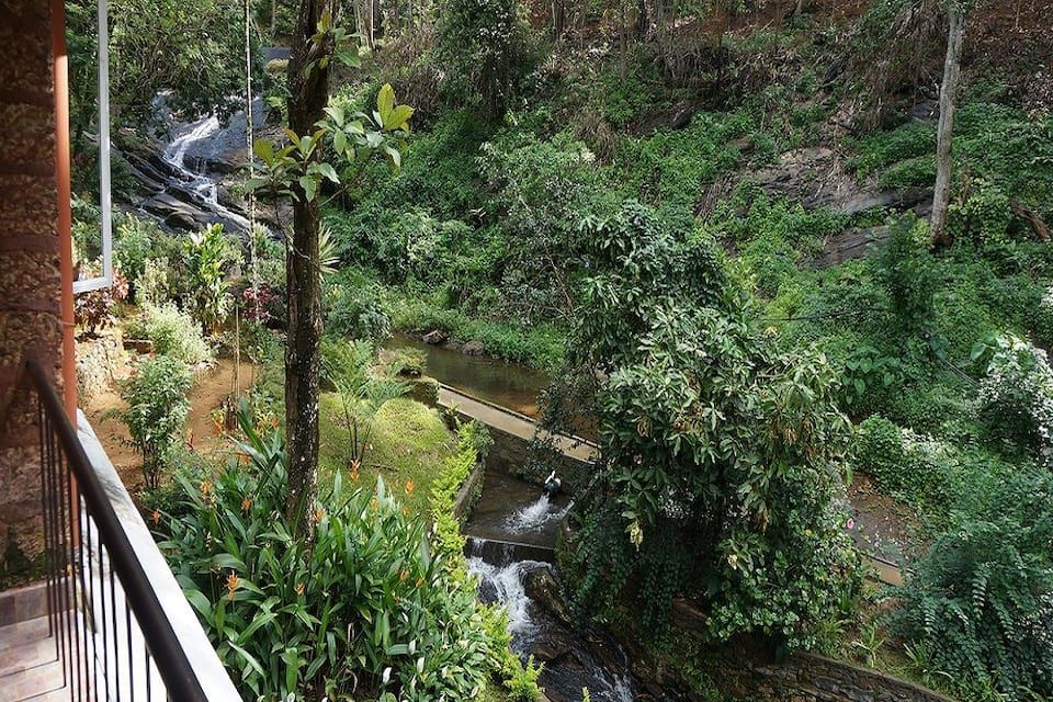 Hotel View