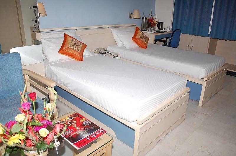 Hotel Green Horizon Executive Room 3