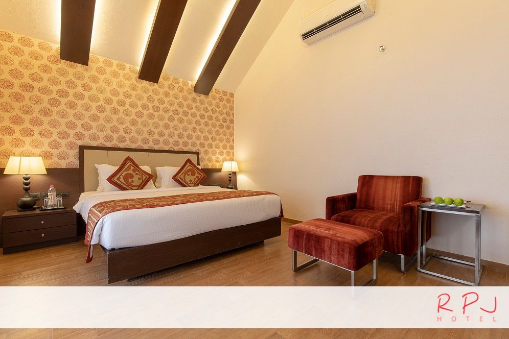 image_308480_acf91a0e-af6b-4cc6-b0c8-80746e3e27d3