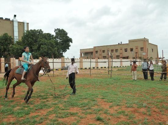 705fb0b177e96c3b317143617489286e