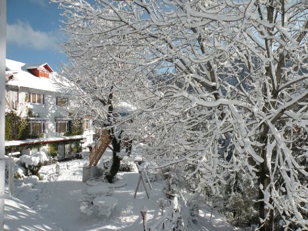 undefined Alps Resort Dalhousie 8