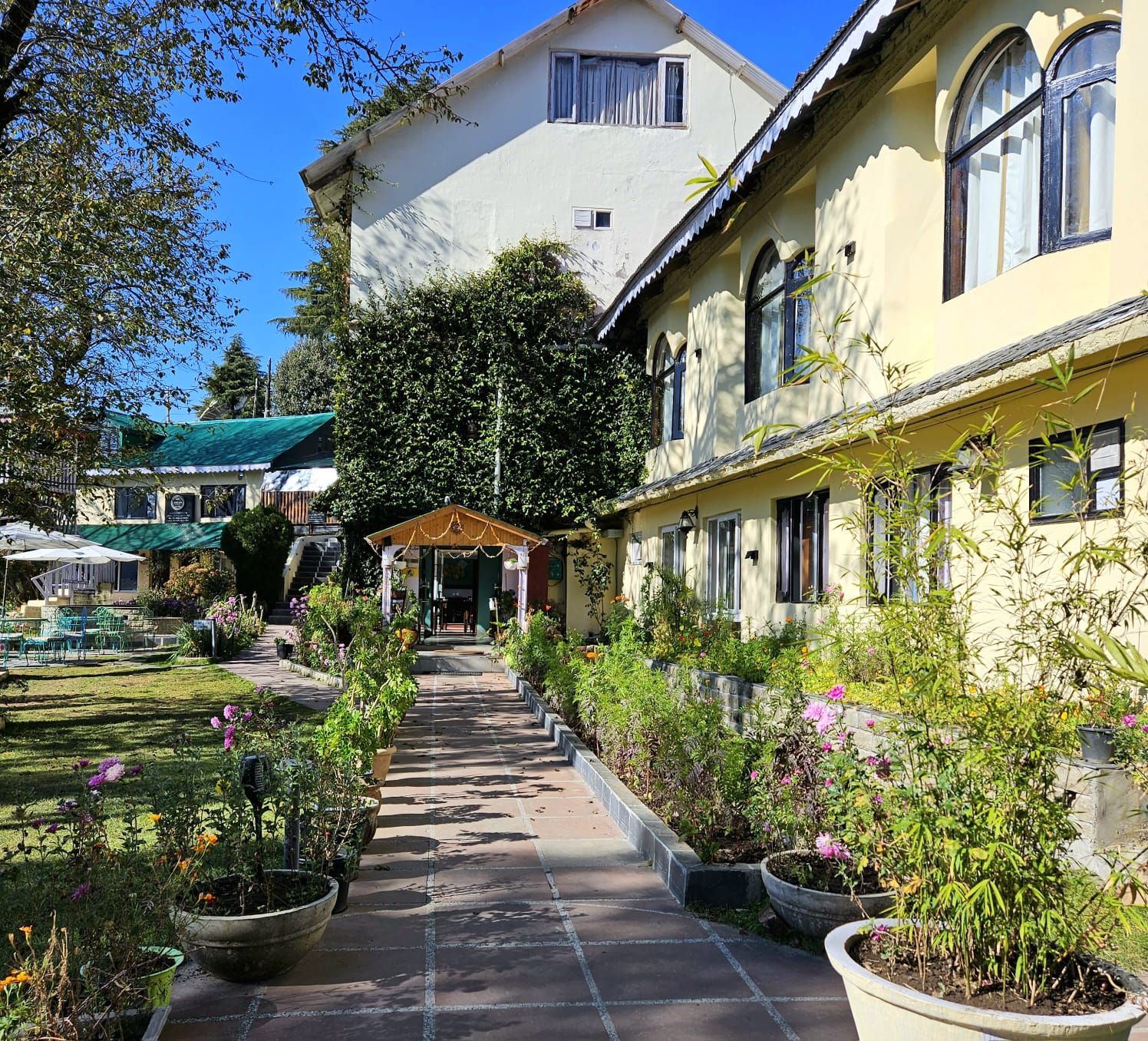 undefined Alps Resort Dalhousie 6