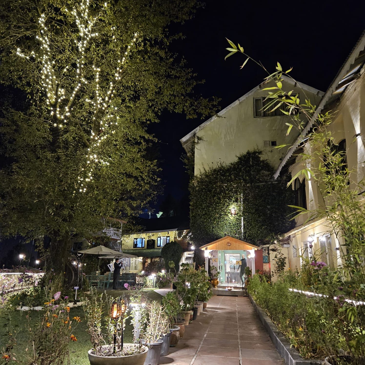 undefined Alps Resort Dalhousie 9