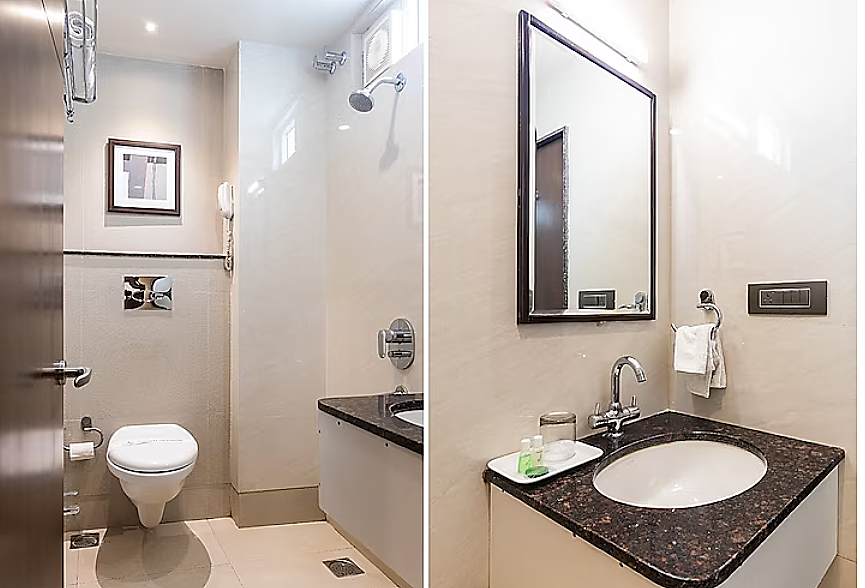 Hotel Princes Palace Executive Room (Comfortable for 1 guest) 3