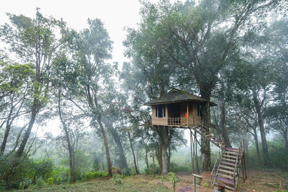 undefined Nature Zone Jungle Resort 10