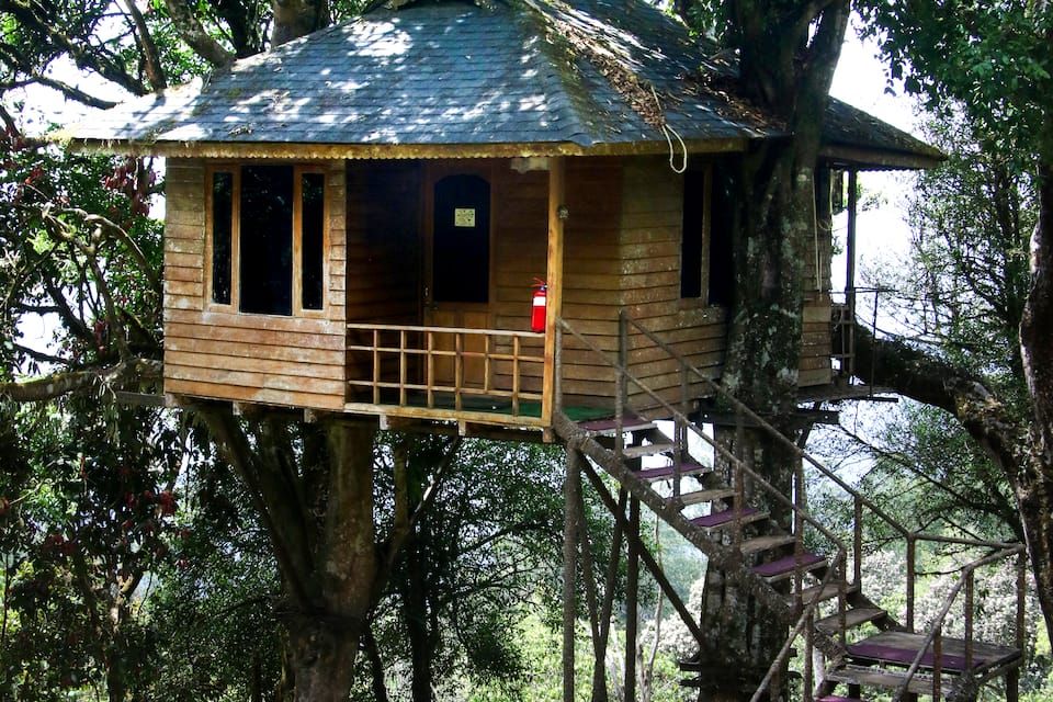 undefined Nature Zone Jungle Resort 8