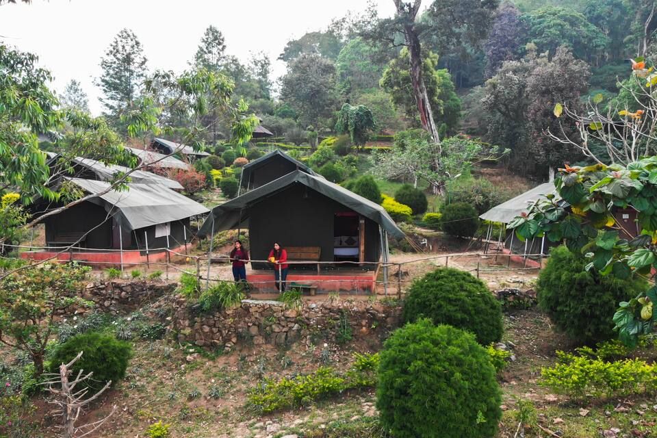 Valley View Premium Tent