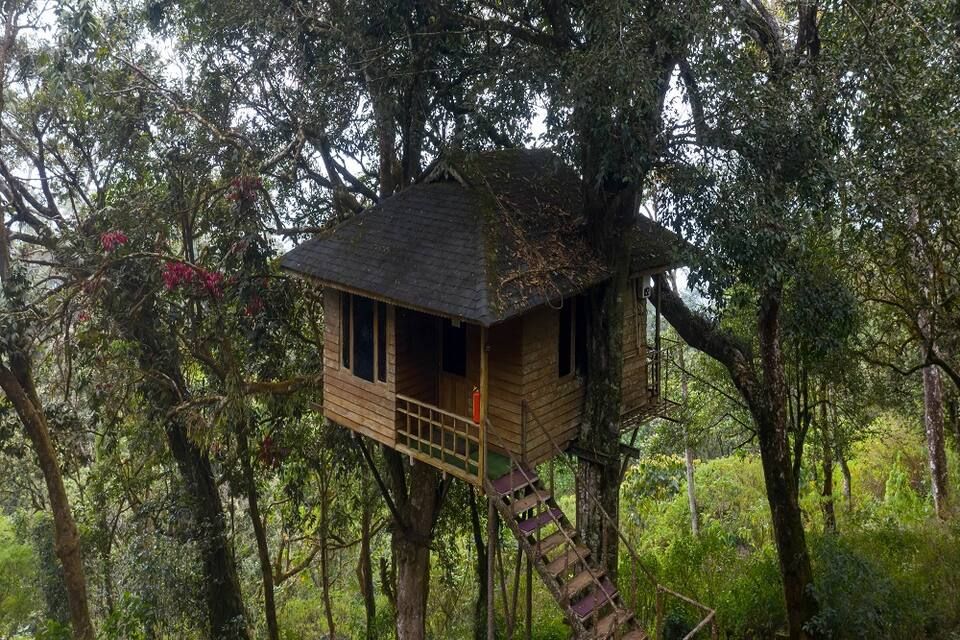 undefined Nature Zone Jungle Resort 4