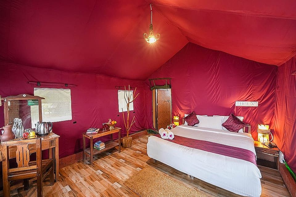 Nature Zone Jungle Resort African Safari Tent 8