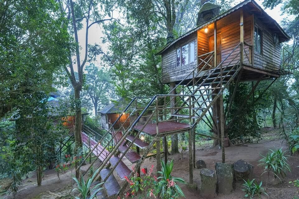 undefined Nature Zone Jungle Resort 9