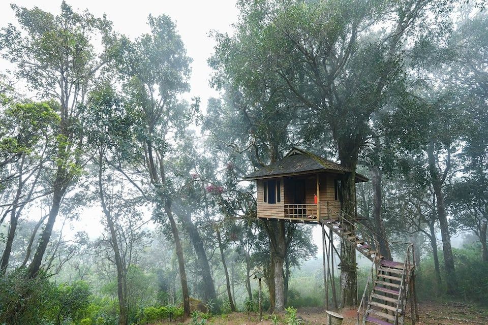 undefined Nature Zone Jungle Resort 5