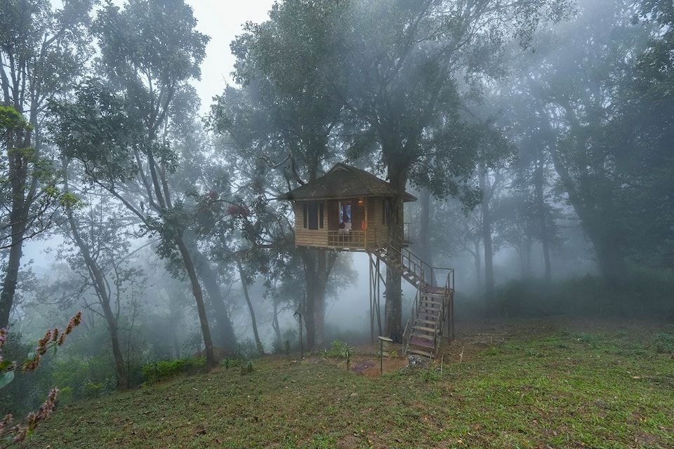 undefined Nature Zone Jungle Resort 2