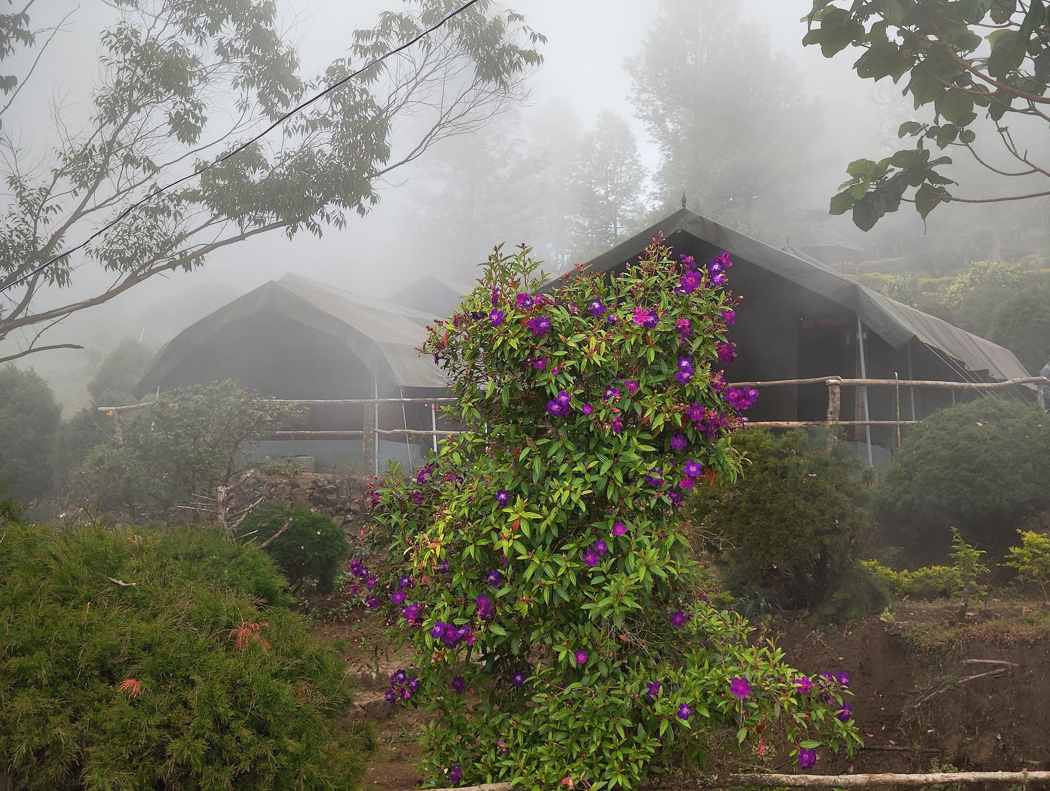 undefined Nature Zone Jungle Resort 7