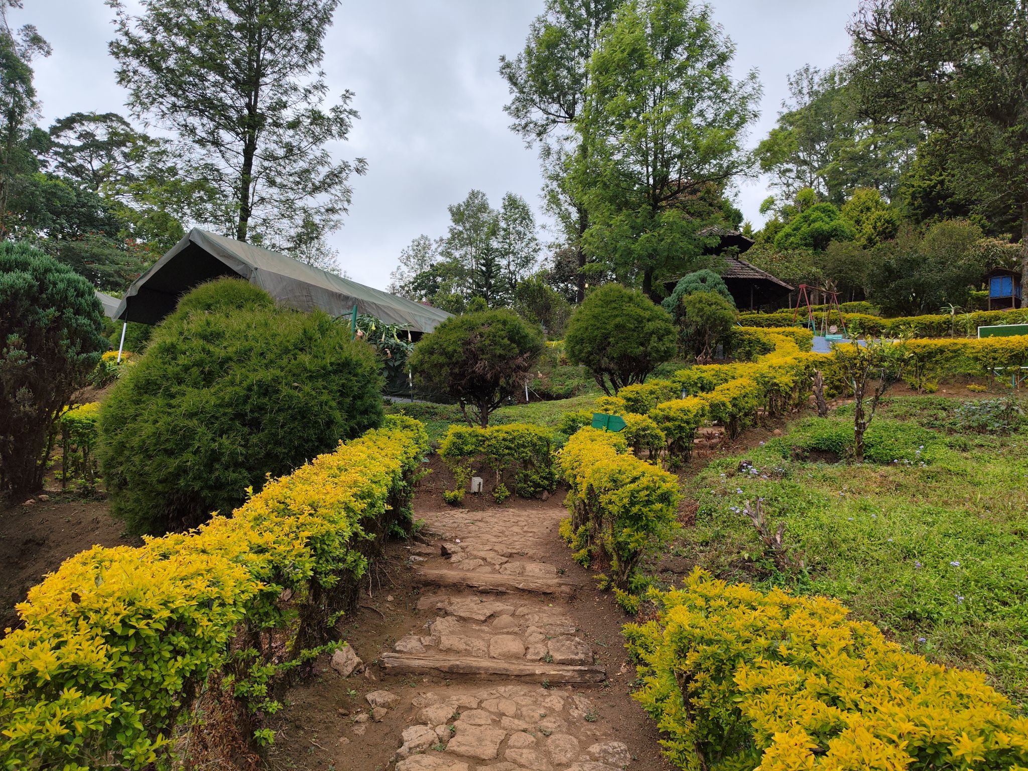 undefined Nature Zone Jungle Resort 3