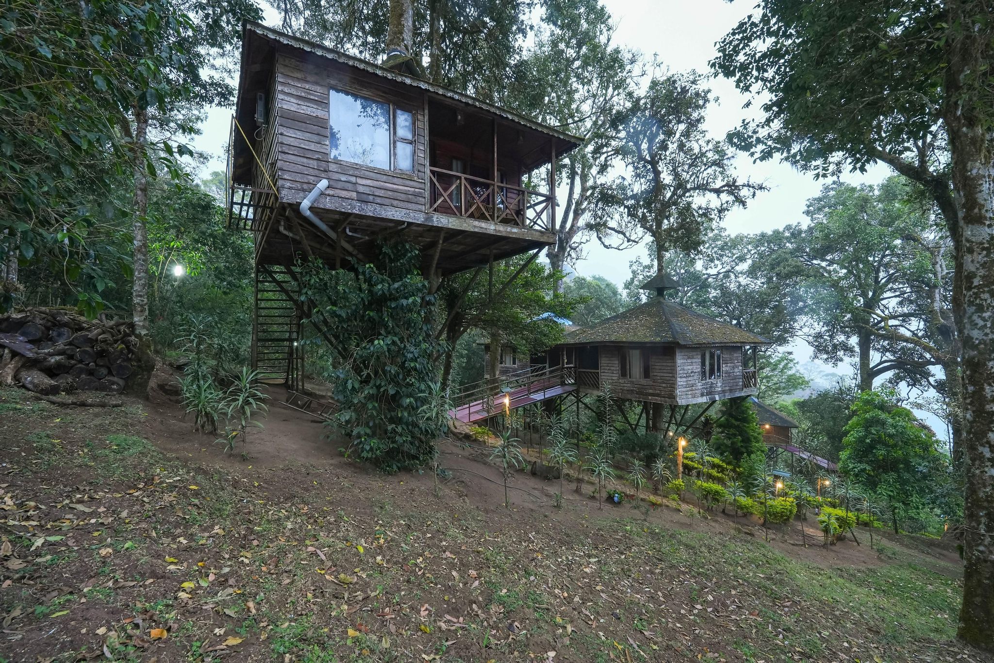 undefined Nature Zone Jungle Resort 3
