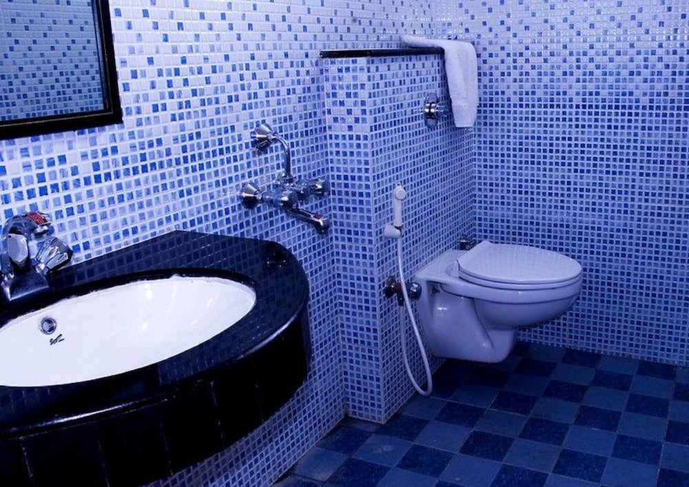 Hotel Blue Bird Prince Deluxe (Non A/C) 3