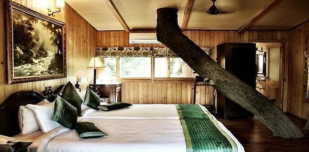 The Tree House Resort Air House Premium 2