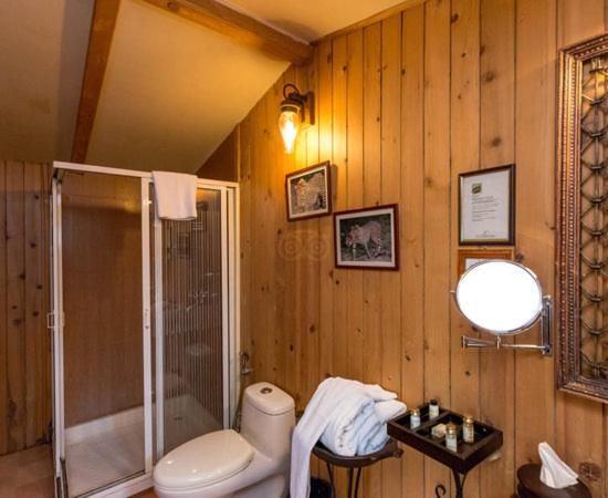 The Tree House Resort Air House Deluxe 4