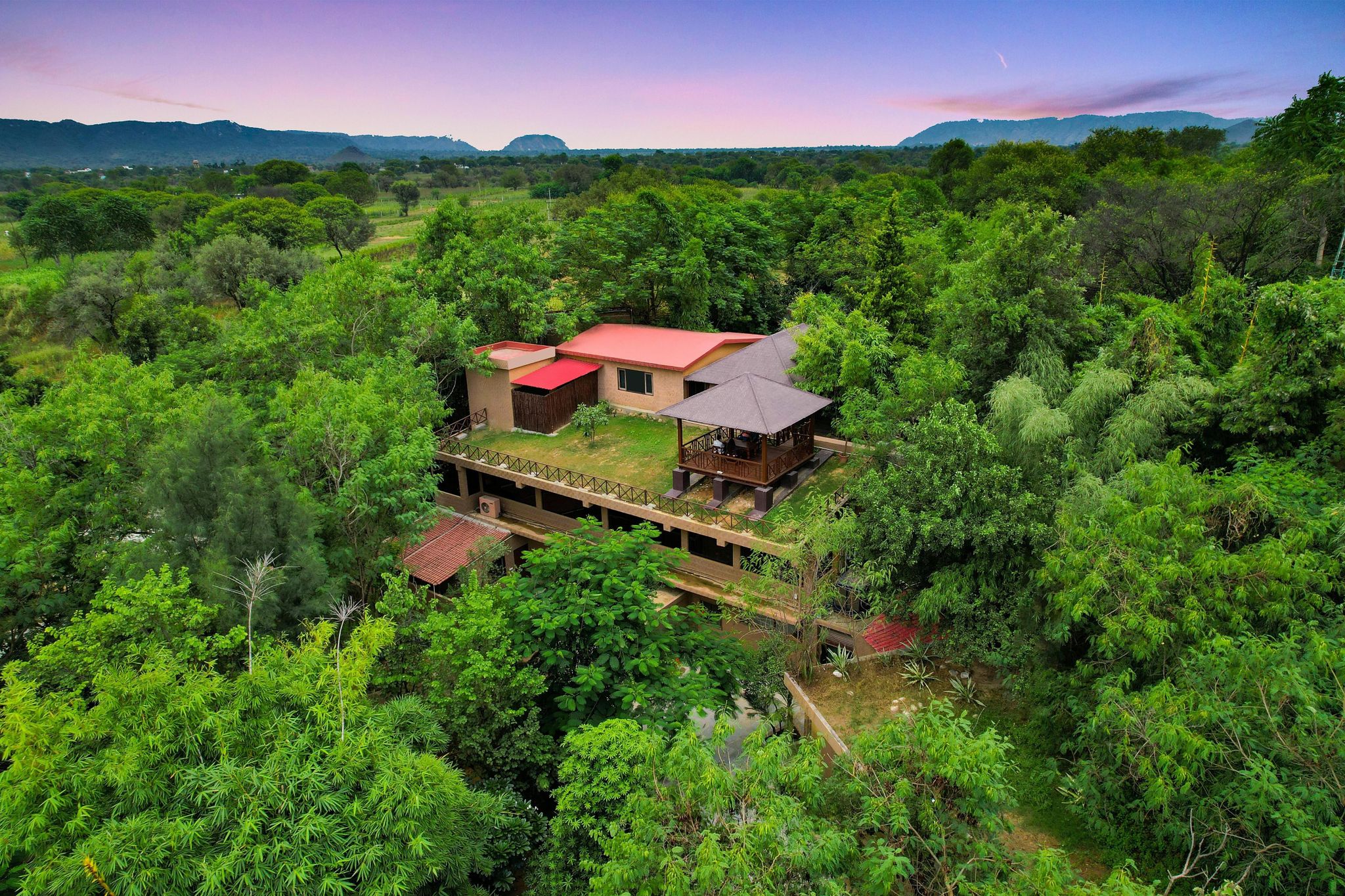 The Tree House Resort