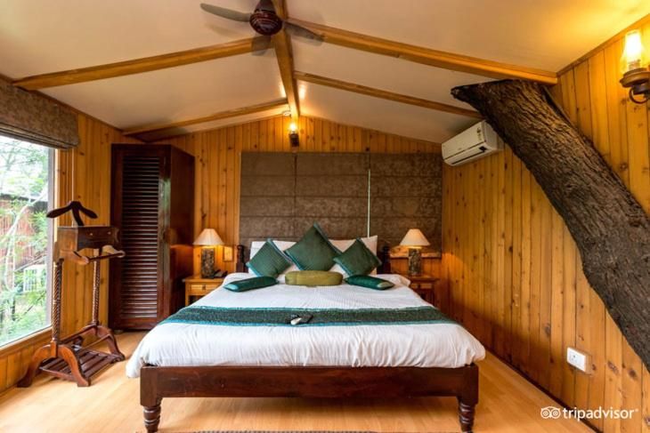 The Tree House Resort Air House Deluxe 3