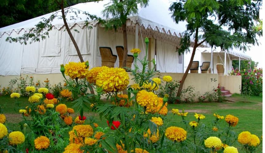 undefined Jungle View Resort 9