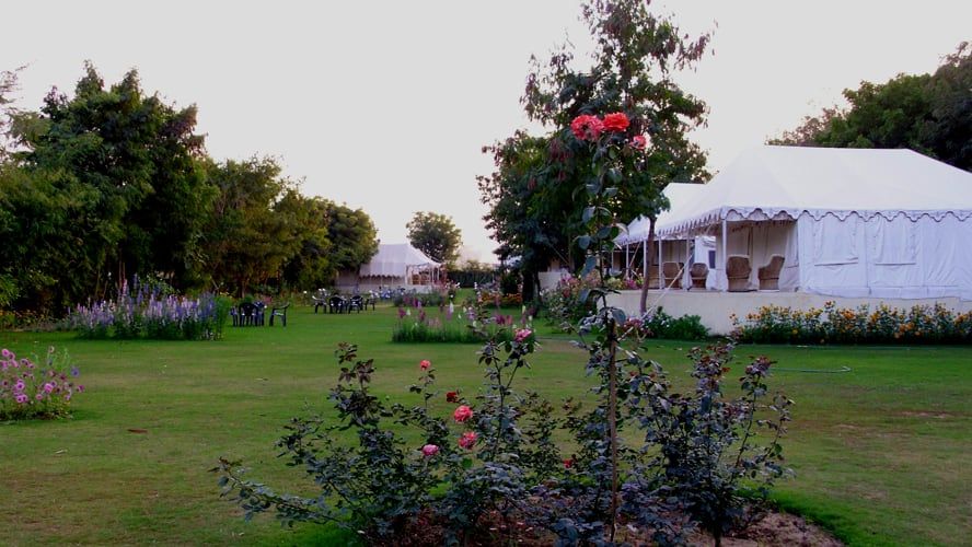 undefined Jungle View Resort 10