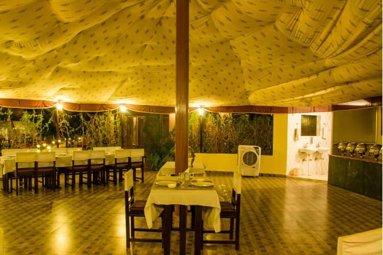 undefined Jungle View Resort 7