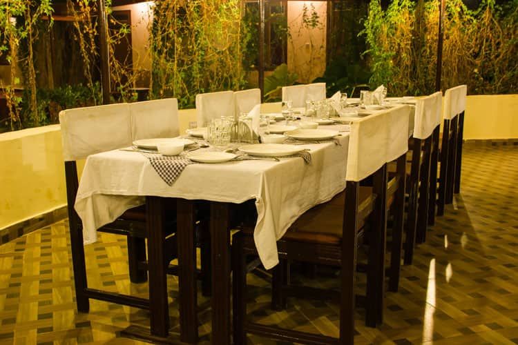 undefined Jungle View Resort 8
