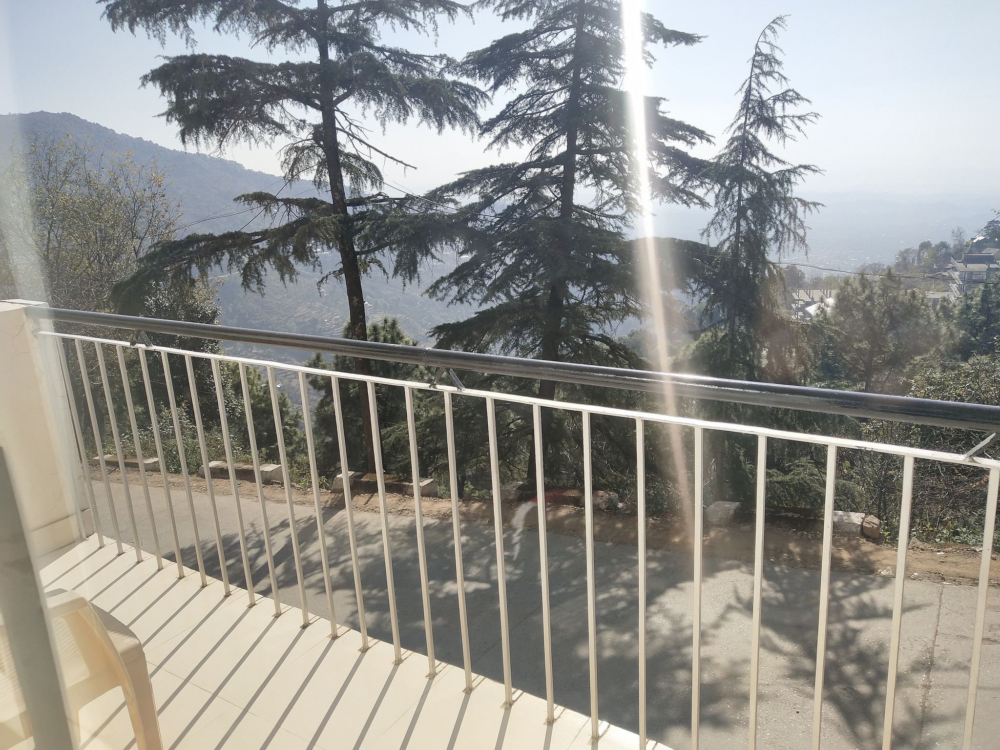 Paradiso Standard Room