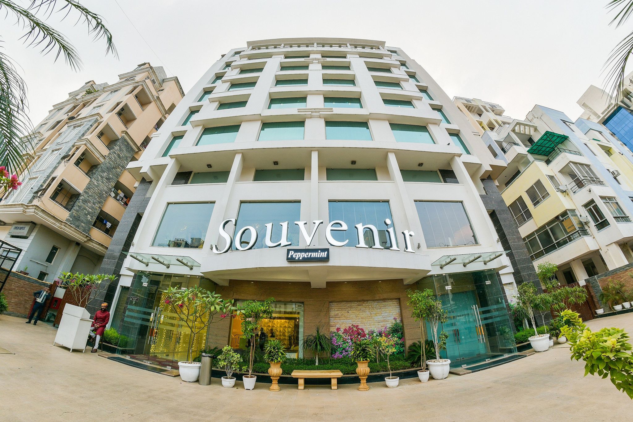 undefined Souvenir Peppermint 10