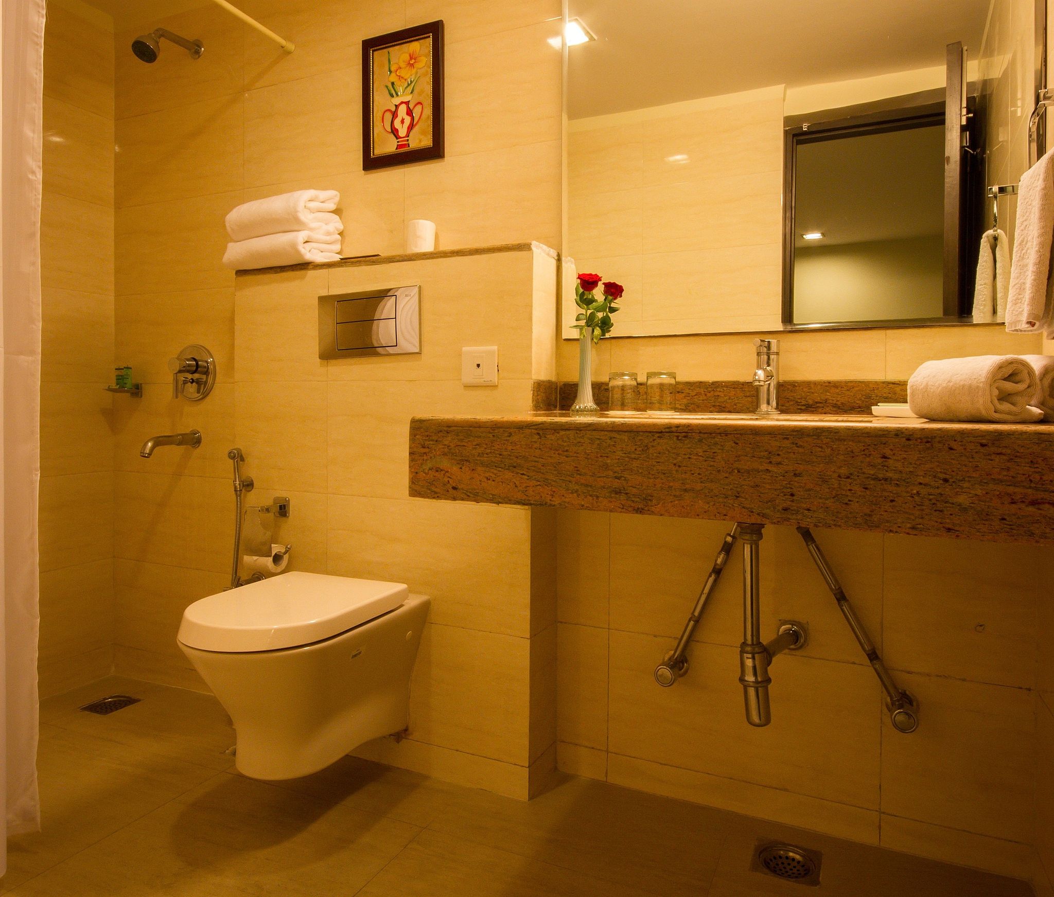 Hotel Classic Diplomat Deluxe Premium Room 5