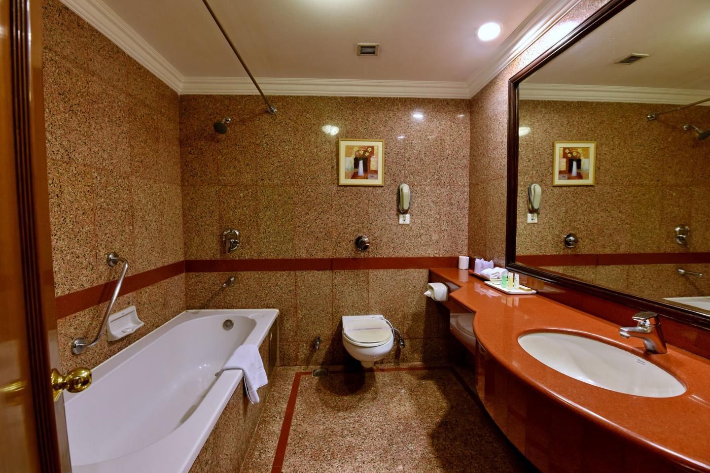 Holiday Regency Deluxe Room 4