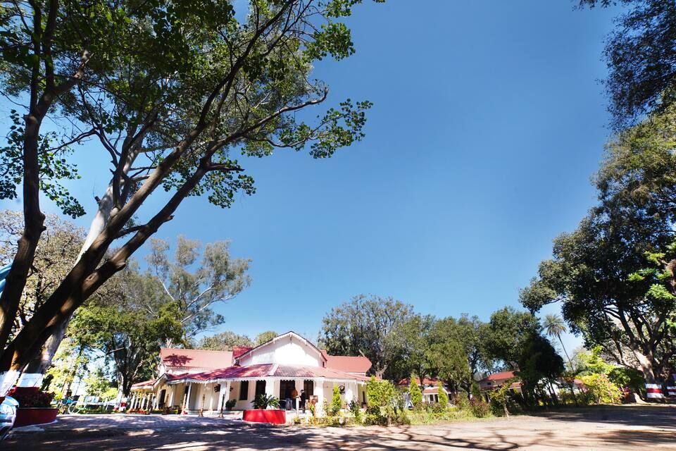 undefined MPT Amaltas 10