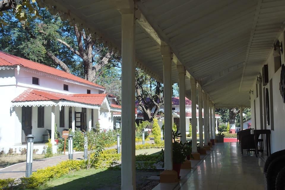 undefined MPT Amaltas 8