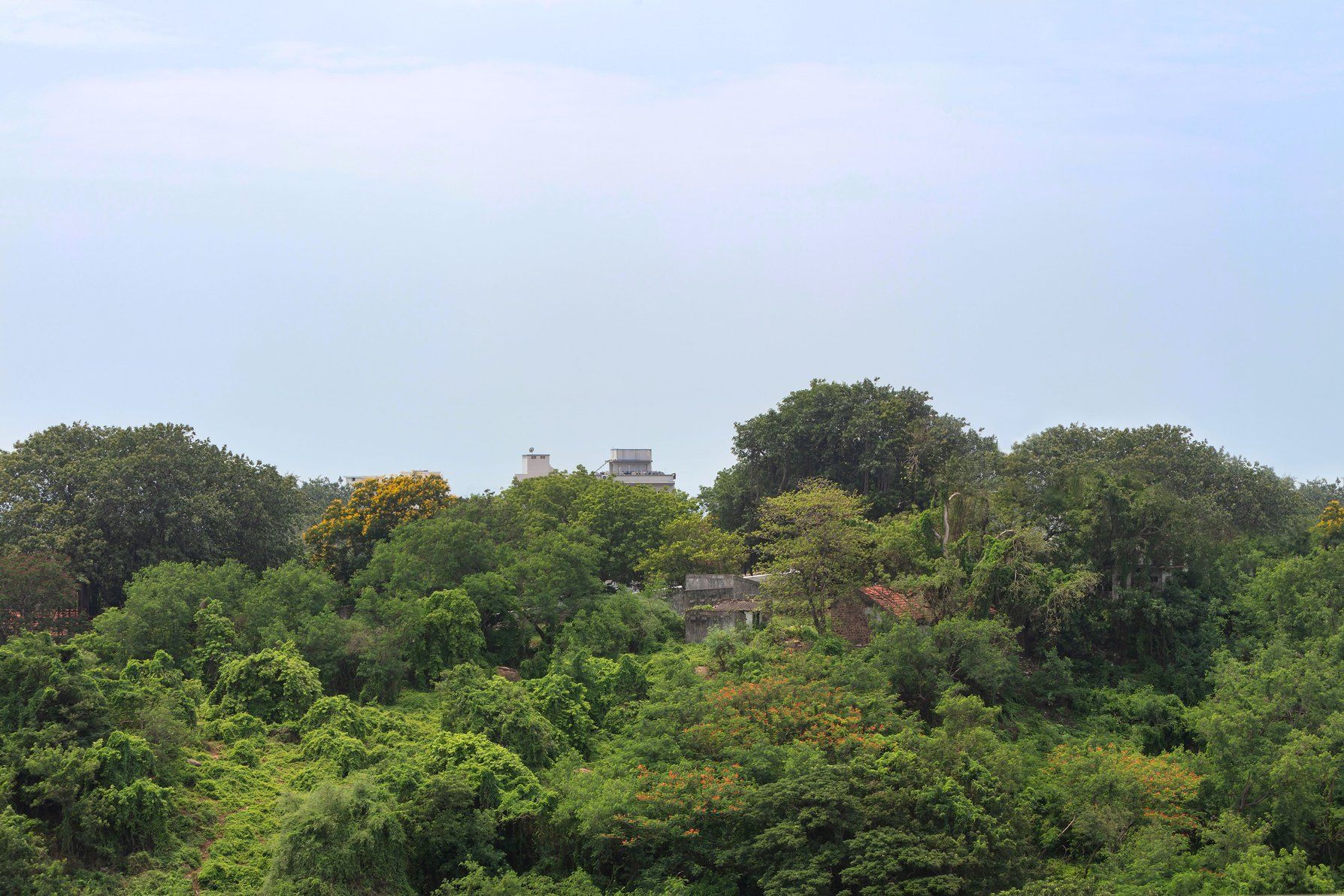 1 Bedroom Suite, 1 King, City view, Balcony